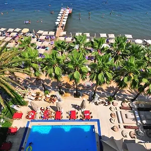 Palm Hotel